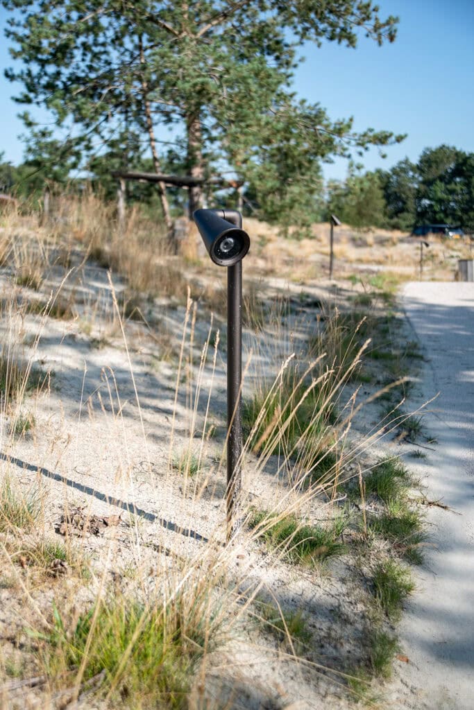 Verlichte tuin lamp op zandpad met natuurlijke begroeiing en oude dennenbomen in de achtergrond.