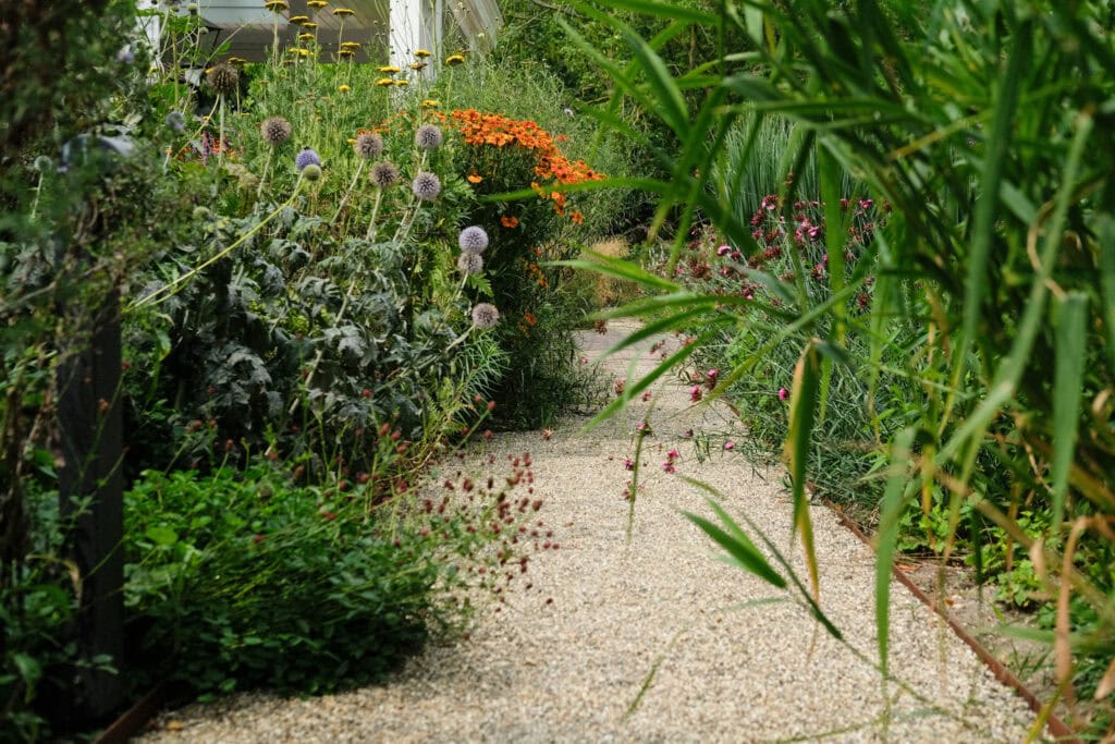 Rustige tuinpad met kleurrijke bloemen en groene beplanting bij Studio REDD, perfect voor natuur- en tuingerichte SEO optimalisatie.