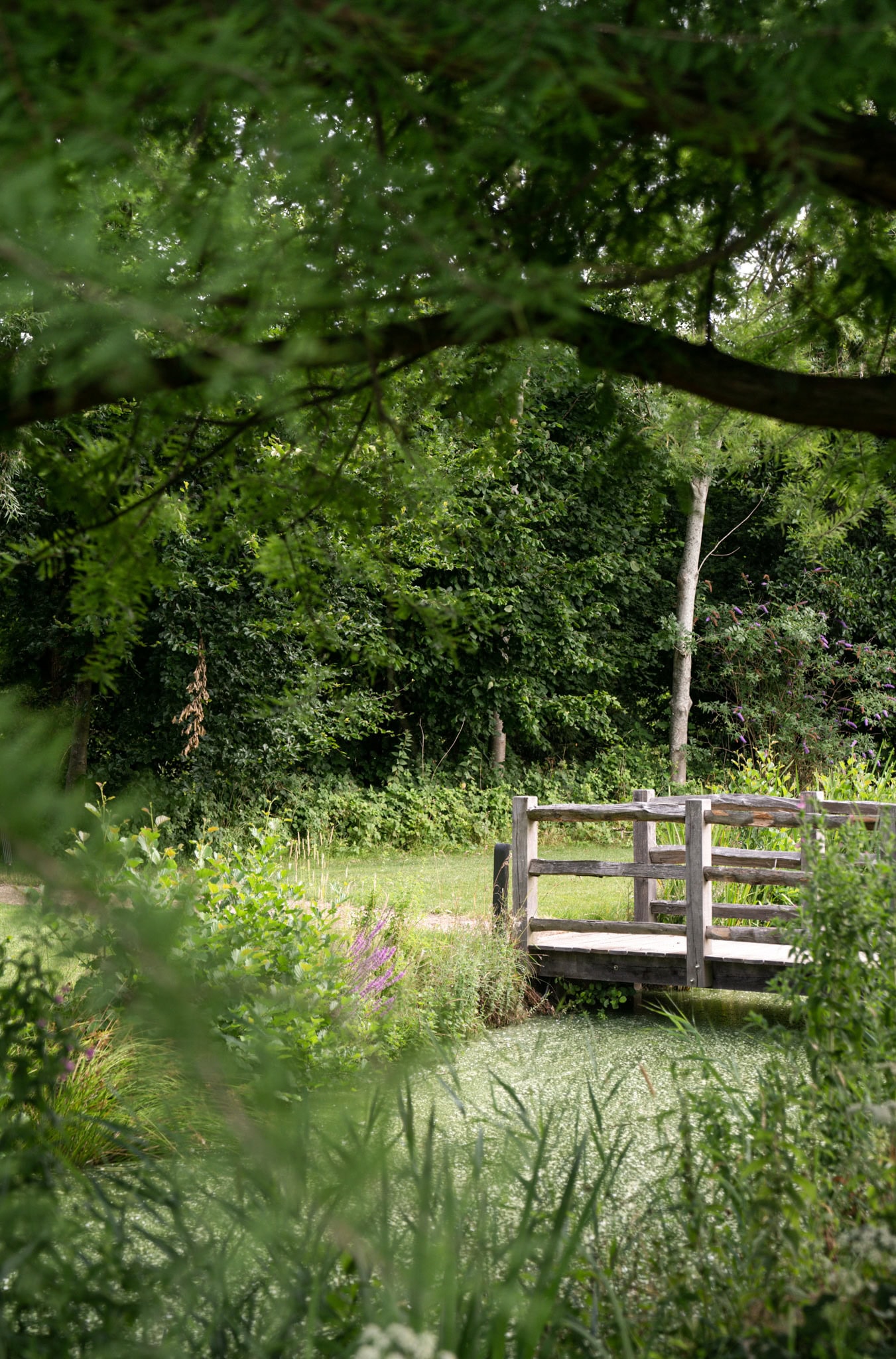 Rustieke houten brug over een kleine vijver in een groene tuin, omgeven door bomen en planten, ideale setting voor ontspanning en natuurfotografie.