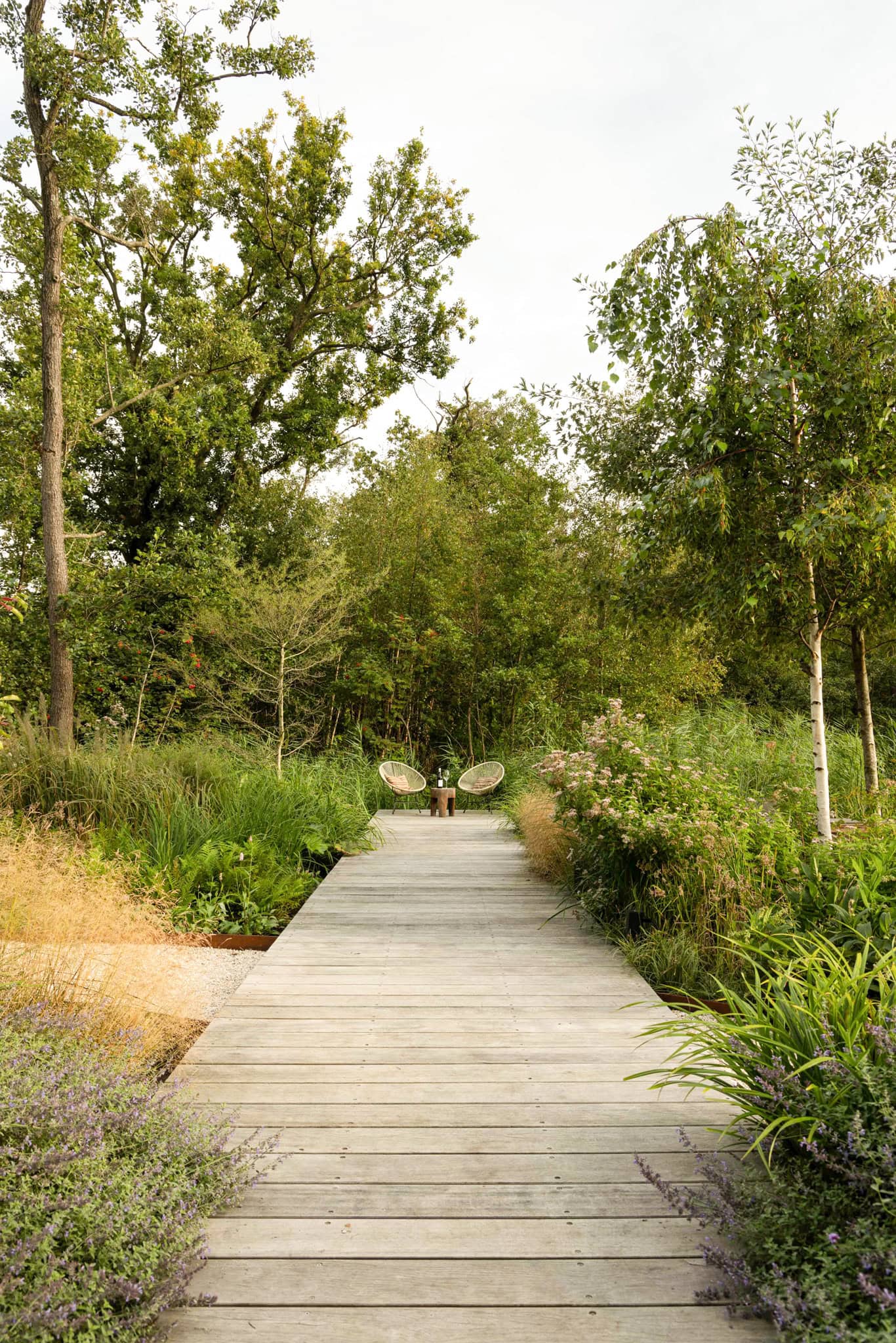 Een rustige, groene omgeving met een houten wandelpad omringd door bomen en struiken, ideaal voor ontspanning en natuurbeleving.