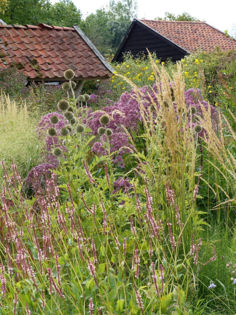 Gezicht op een tuin met diverse bloemen en twee rustieke tuinhuisjes met rode en zwarte daken, omgeven door groen en kleurrijke planten.