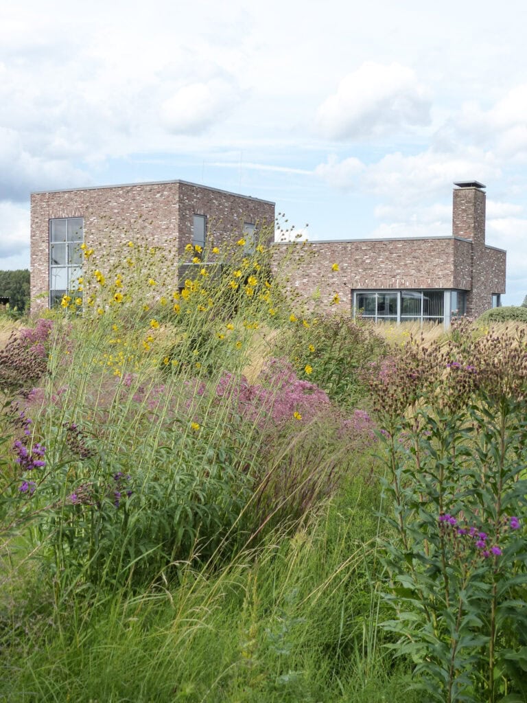 Moderne architectuur van Studio REDD met grote ramen en een unieke bouwstijl, omgeven door weelderige tuin en bloemen.