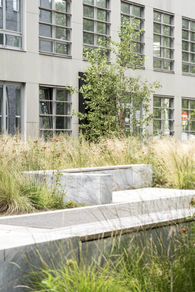 Moderne tuin met groenblijvende planten en een waterpartij voor een rustgevende sfeer bij Studio REDD.